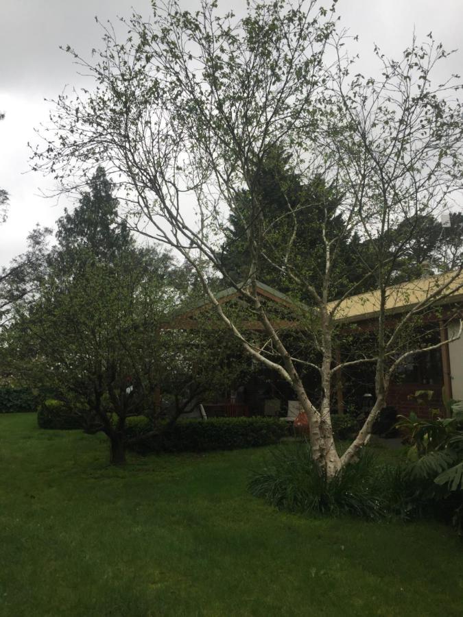 Sherwood Park Bed And Breakfast Somerville ภายนอก รูปภาพ