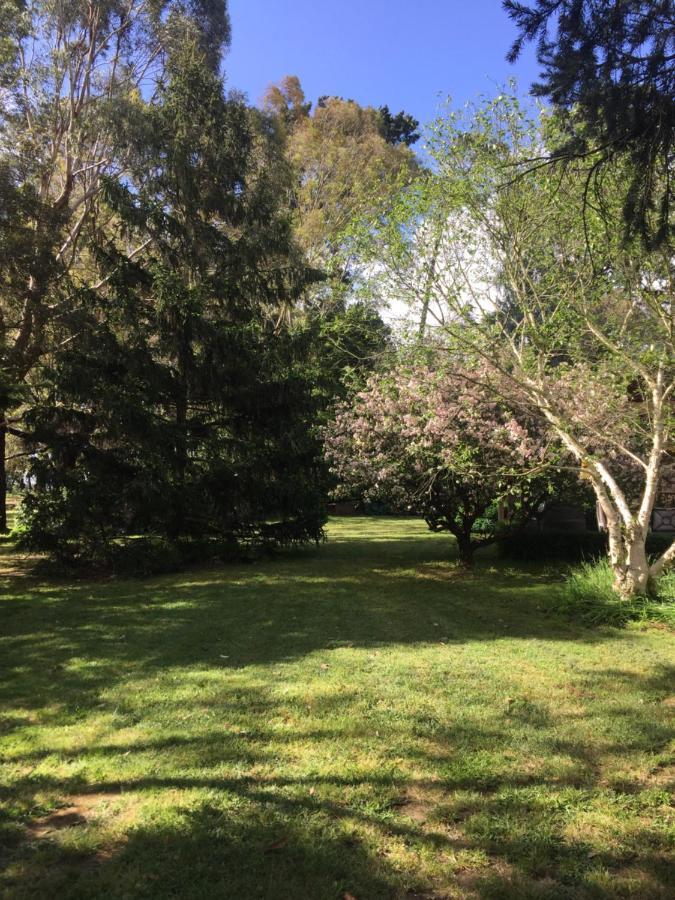 Sherwood Park Bed And Breakfast Somerville ภายนอก รูปภาพ